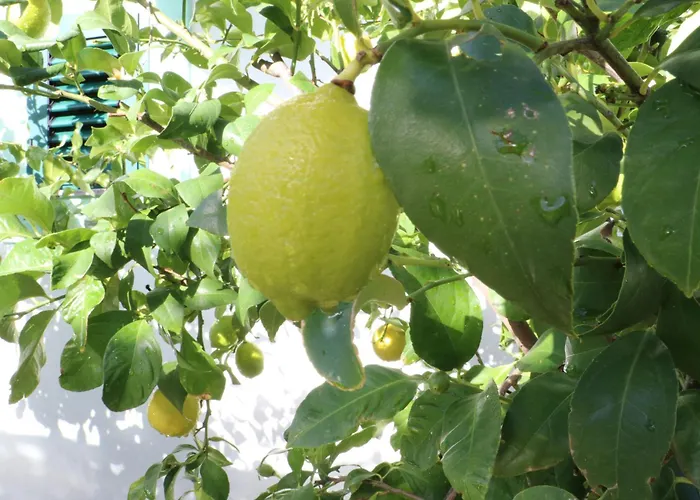 Kuca Za Odmor Desa * Vrbnik (Sibenik-Knin)